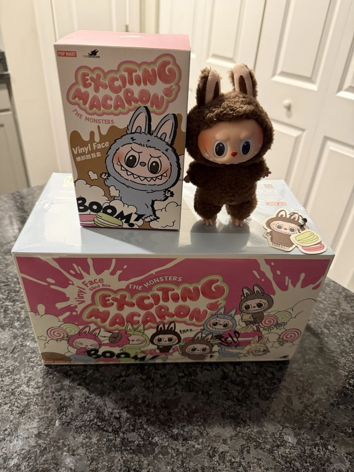 POP MART Exciting Macaron Labubu Case And Secret Chestnut Cocoa COMPLETE SET